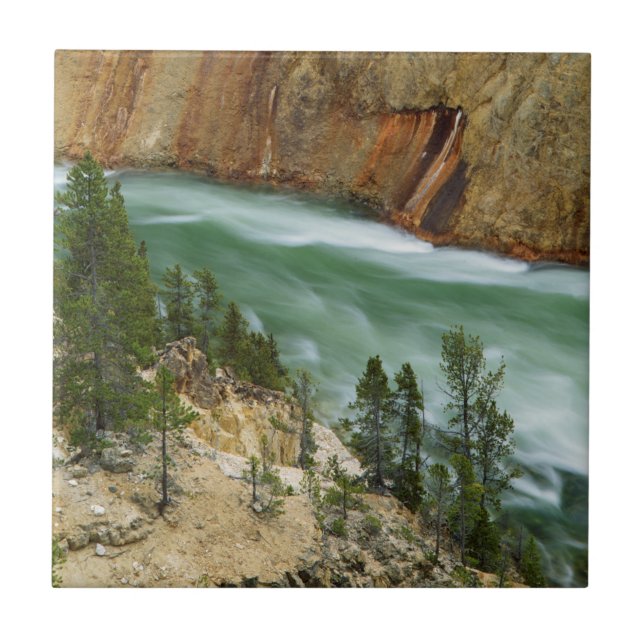 USA, Wyoming, Yellowstone National Park Kakelplatta (Framsidan)