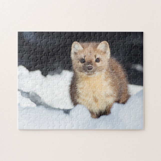 USA, Wyoming, Yellowstone National Park Pussel (Horisontell)