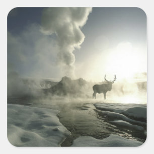 USA, Wyoming, Yellowstone National Park. Soluppgån Fyrkantigt Klistermärke