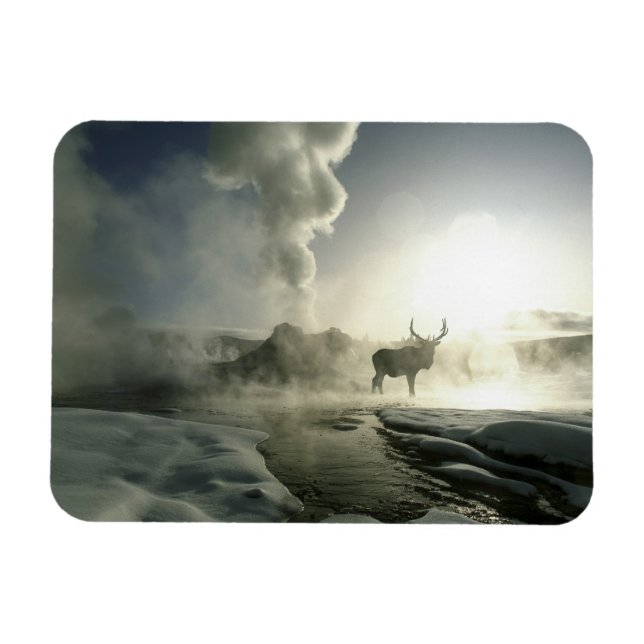 USA, Wyoming, Yellowstone National Park. Soluppgån Magnet (Horisontell)