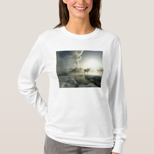 USA, Wyoming, Yellowstone National Park. Soluppgån T-shirt (Framsida)