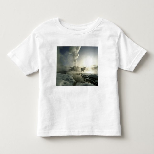 USA, Wyoming, Yellowstone National Park. Soluppgån T-shirt (Framsida)
