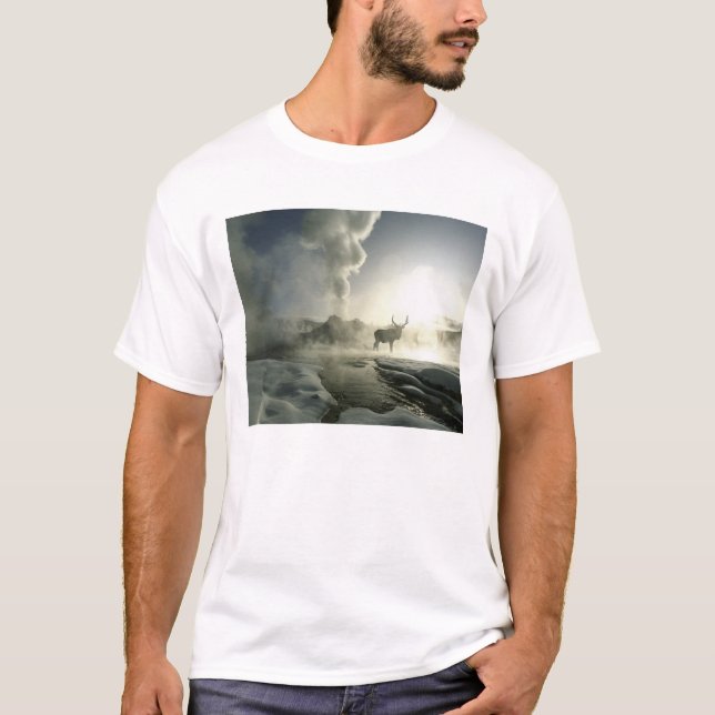 USA, Wyoming, Yellowstone National Park. Soluppgån Tee (Framsida)