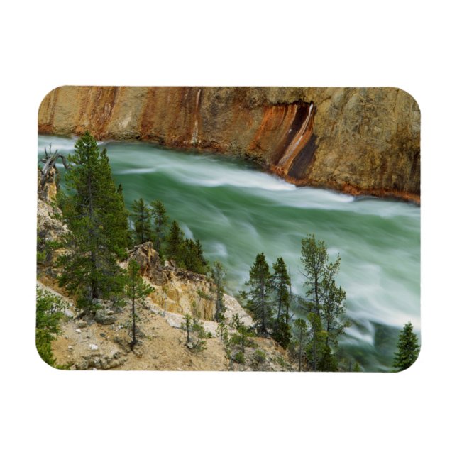 USA, Wyoming, Yellowstone nationalpark Magnet (Horisontell)