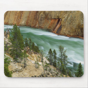 USA, Wyoming, Yellowstone nationalpark Musmatta