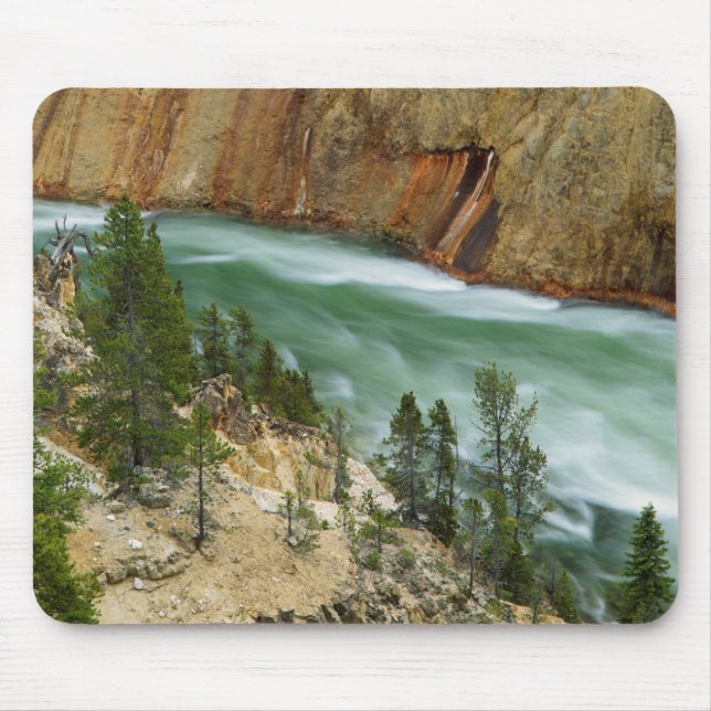 USA, Wyoming, Yellowstone nationalpark Musmatta (Framsidan)