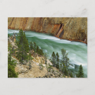 USA, Wyoming, Yellowstone nationalpark Vykort