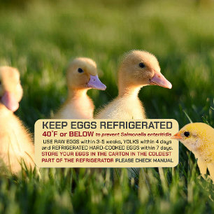 USDA Egg Carton Safety and Storage Regulations Returadress Etikett