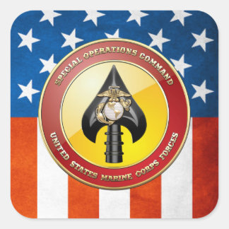 USMC Speciell Operations Command (MARSOC) [3D] Fyrkantigt Klistermärke