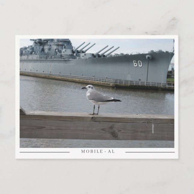 USS Alabama & Seagull – Mobile, AL Minnessak Vykort (Framsida)