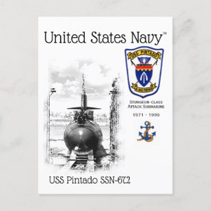 USS PINTADO SSN-672 ATTACK SUBMARINE - POSTCARD VYKORT