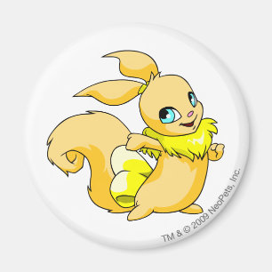Usul gult magnet