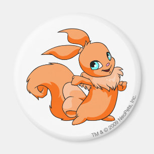Usul orange magnet