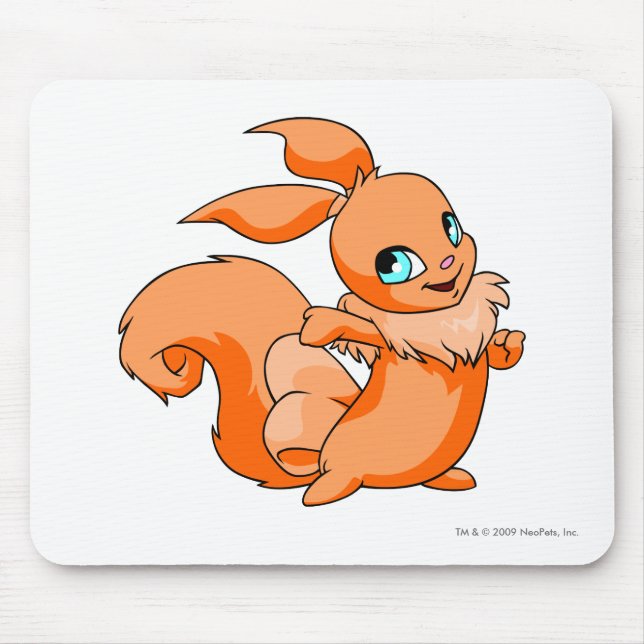 Usul orange musmatta (Framsidan)