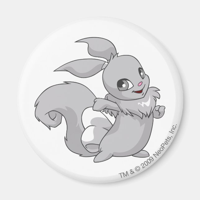 Usul Silver Magnet (Framsidan)