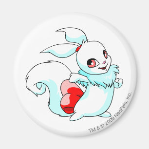 Usul vit magnet