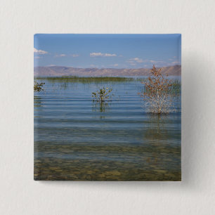 UT, Bear Lake Knapp