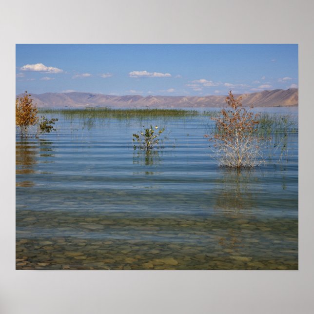 UT, Bear Lake Poster (Framsidan)