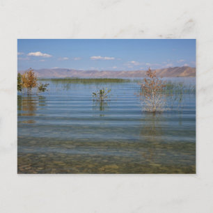UT, Bear Lake Vykort