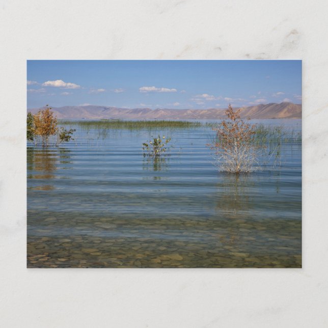 UT, Bear Lake Vykort (Framsida)
