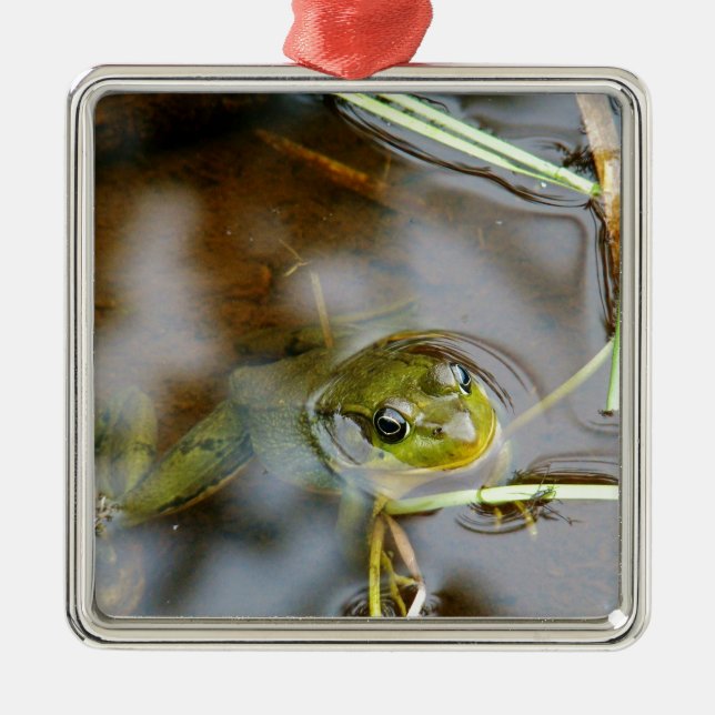 Ut för någon ny luft julgransprydnad metall (Framsidan)