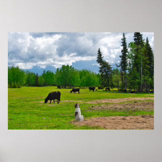Ut i betesmarkeringen Poster