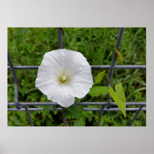 ut i regnet poster