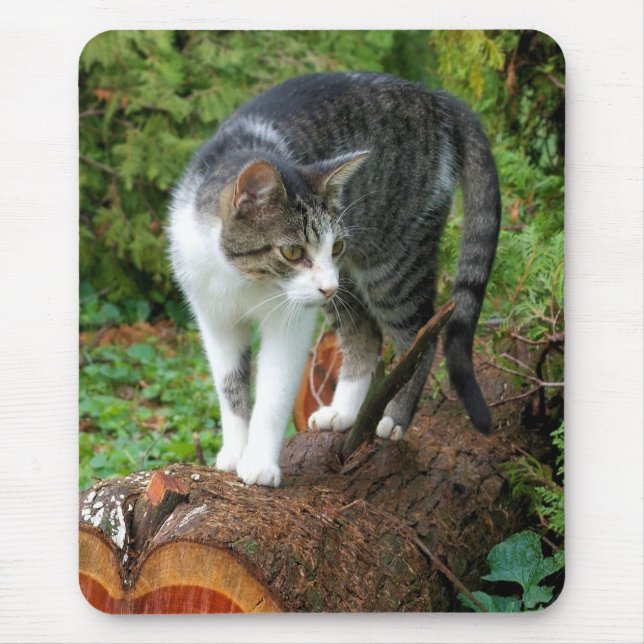 Ut på en Cat Walk - Kattunge Mousepad Musmatta (Framsidan)