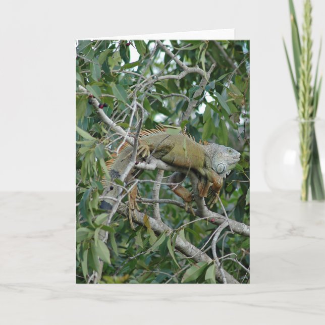 Ut på ett Limbkort Kort (Framsida)