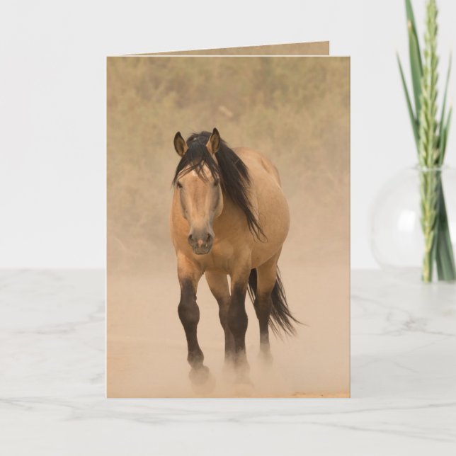 Ut ur Dust Vild Horse Greeting Card Kort (Framsida)
