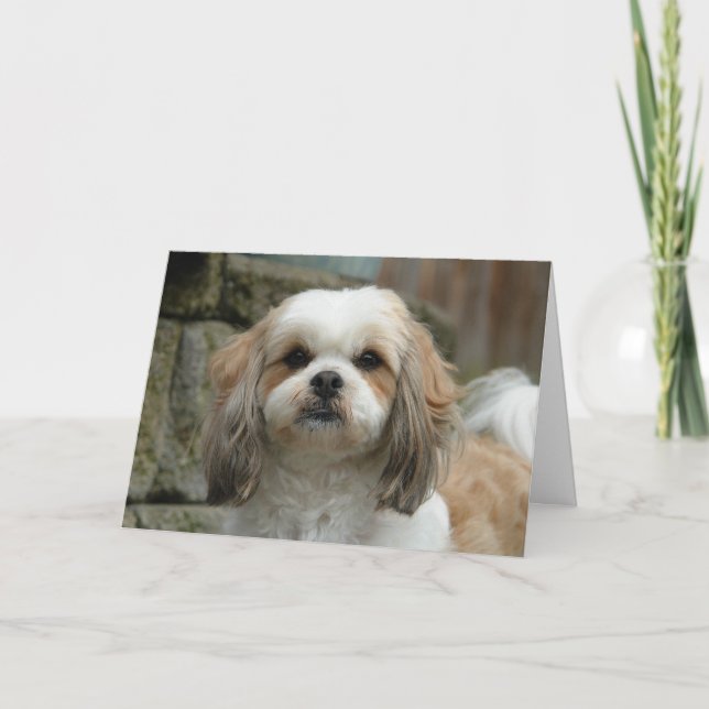 "Ut ur kort för hälsning för ben" husdjurhumor (Framsida)