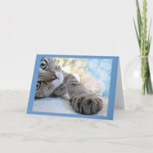 Ut ur kute Cat, kattunge Pet Kort