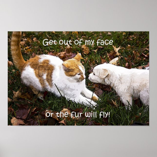 "Ut ur min ansikte" humoristiska hund och kattpost Poster (Framsidan)