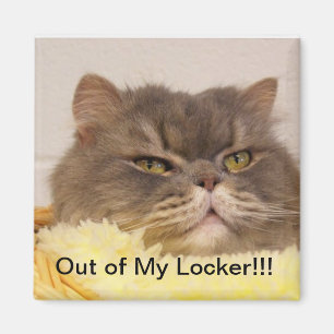 UT UR SKÅPMAGNETEN MAGNET