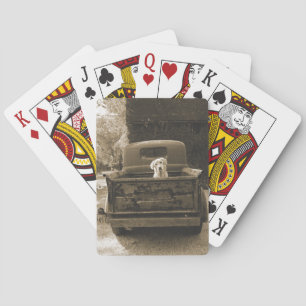 Ut ur skugga - Hund-foto Casinokort