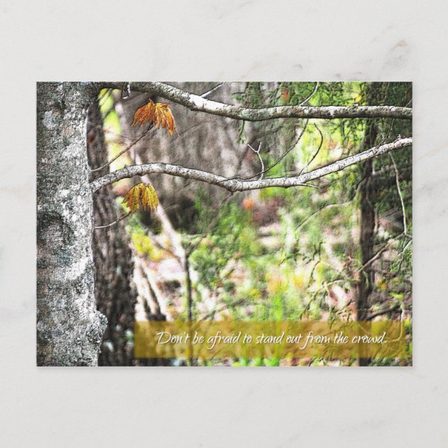 Ut Vykort (Framsida)