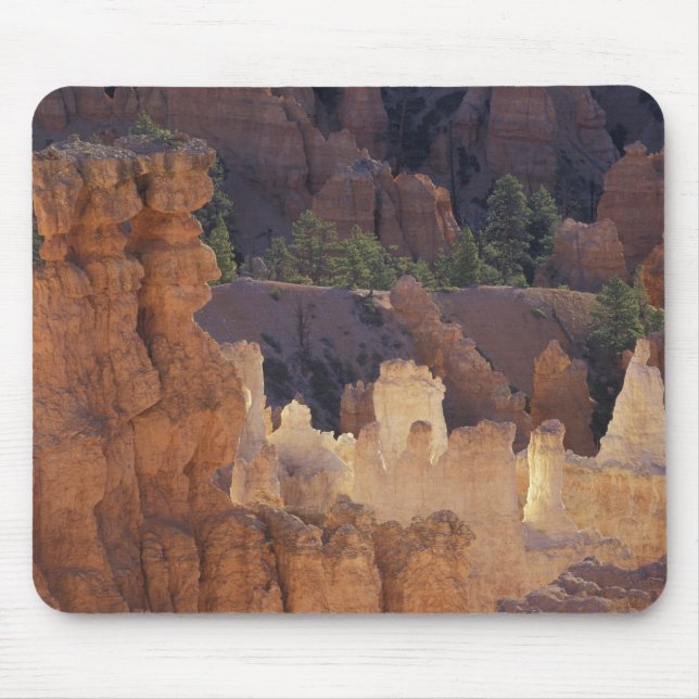 Utah, Bryce Canyon nationalpark. Hoodoos Musmatta (Framsidan)