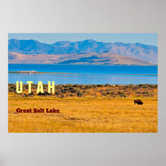 UTAH  Den stora saltsjöstaten Poster