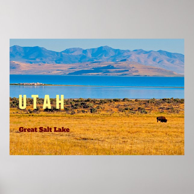 UTAH  Den stora saltsjöstaten Poster (Framsidan)