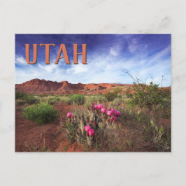 Utah Desert Vår Cactus Vykort