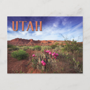 Utah Desert Vår Cactus Vykort