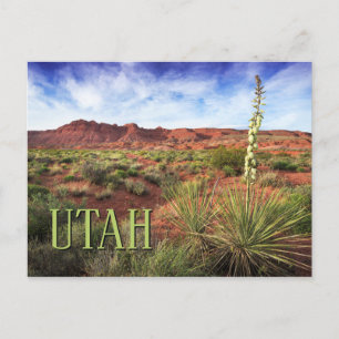 Utah Desert Yucca Vykort