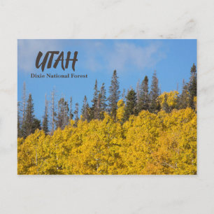 Utah Dixie National Forest Vykort