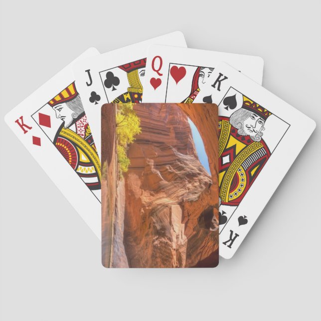 Utah, GOLDEN CATHEDRAL Casinokort (Baksidan)