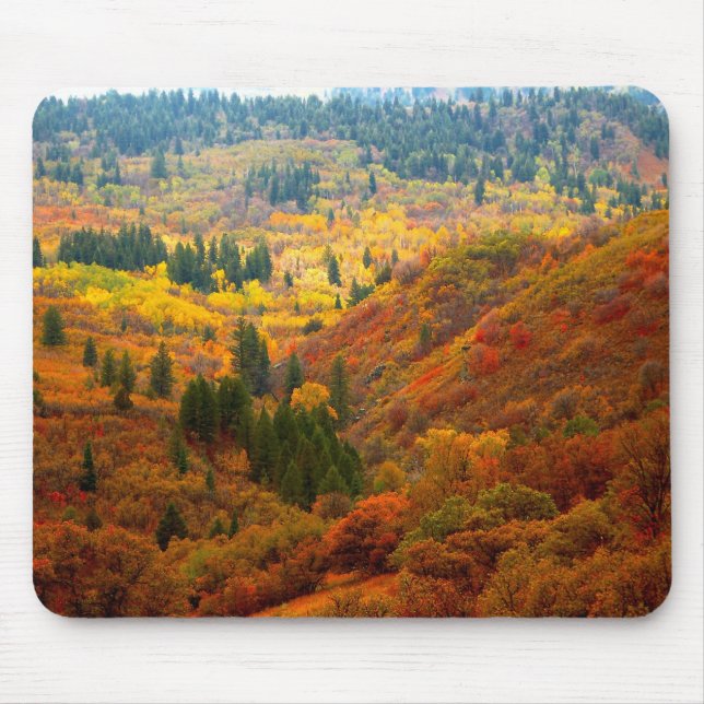 Utah liggande musmatta (Framsidan)