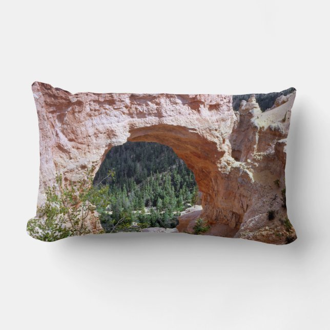 Utah Red Sten Arch Canyon Desert Southeast Lumbarkudde (Framsida)