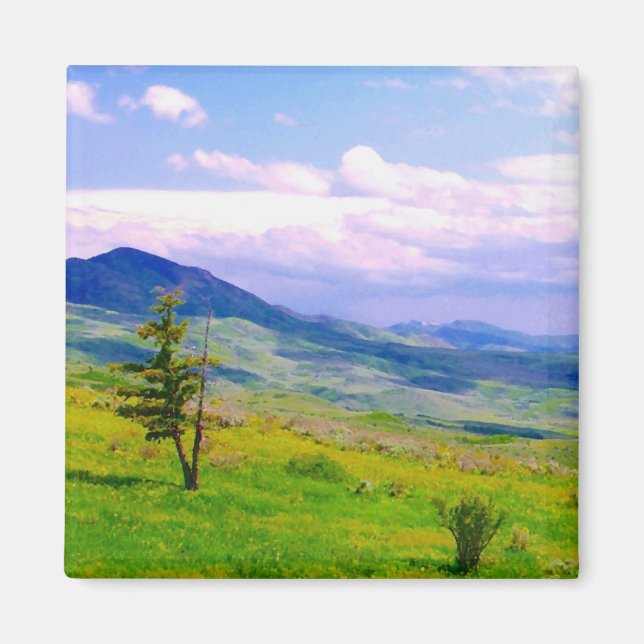 Utah Scenia View Magnet (Framsidan)