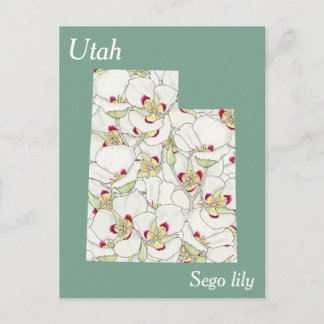 Utah State Flower Collage Karta Vykort