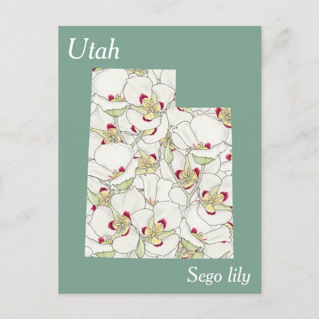 Utah State Flower Collage Karta Vykort (Framsida)
