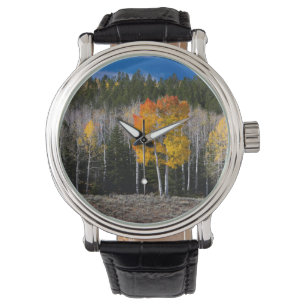 Utah, USA. Asp (Populus Tremuloides) 2 Armbandsur